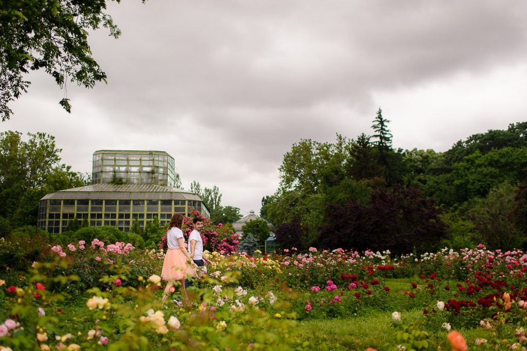Sedinta foto Gradina Botanica