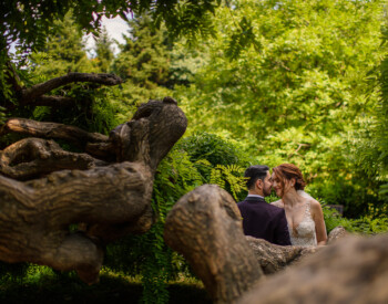 Fotograf nunta Salon Du Mariage Ana si Mihai